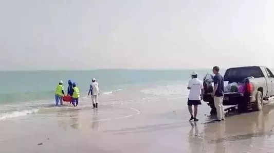 壹定发(中国游)官方网站