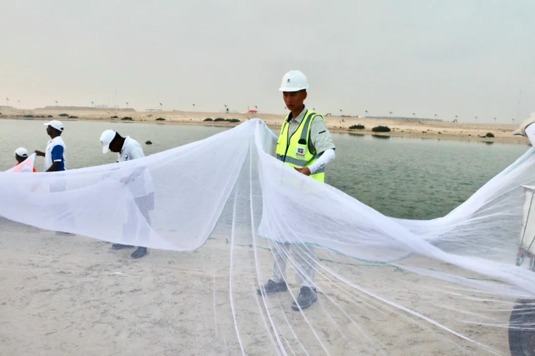 壹定发(中国游)官方网站
