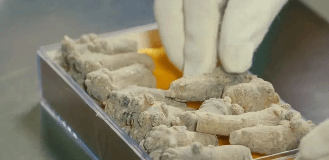 壹定发(中国游)官方网站