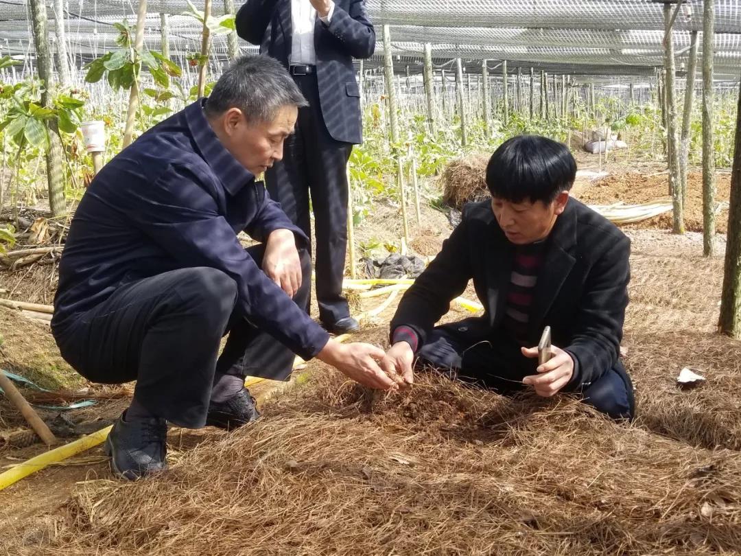 壹定发(中国游)官方网站