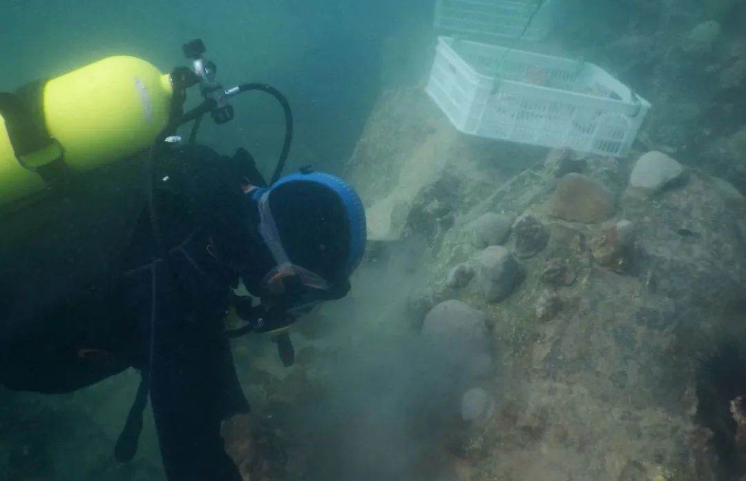 壹定发(中国游)官方网站