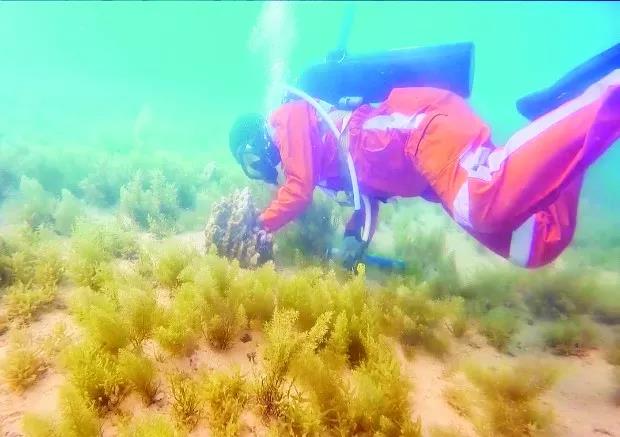 壹定发(中国游)官方网站