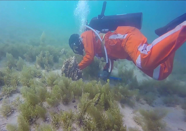 壹定发(中国游)官方网站