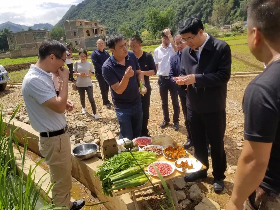 壹定发(中国游)官方网站