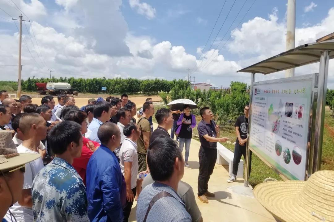 壹定发(中国游)官方网站