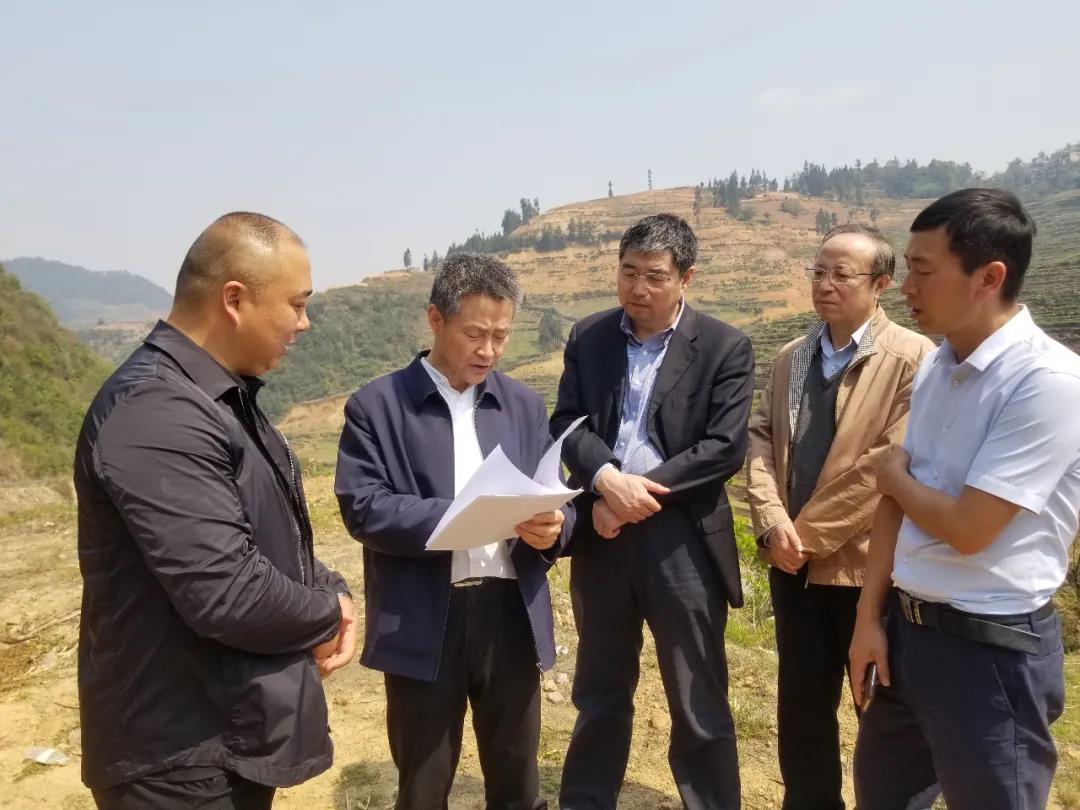 壹定发(中国游)官方网站